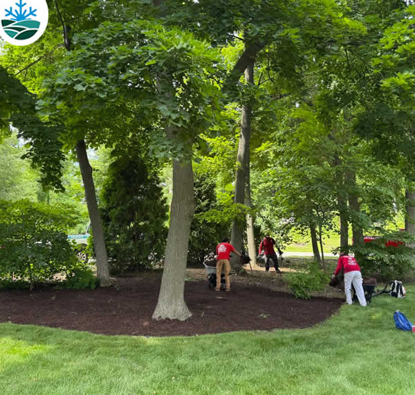 Climate and Plant Selection in Madison WI