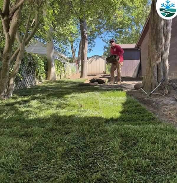 Complete Sod Installation and Seeding Services