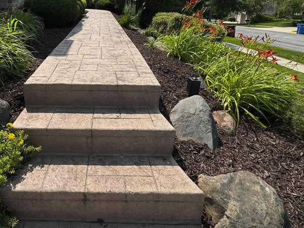 Elegant Planting