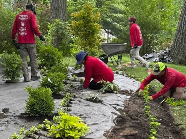 Madison Landscaper - Gardening