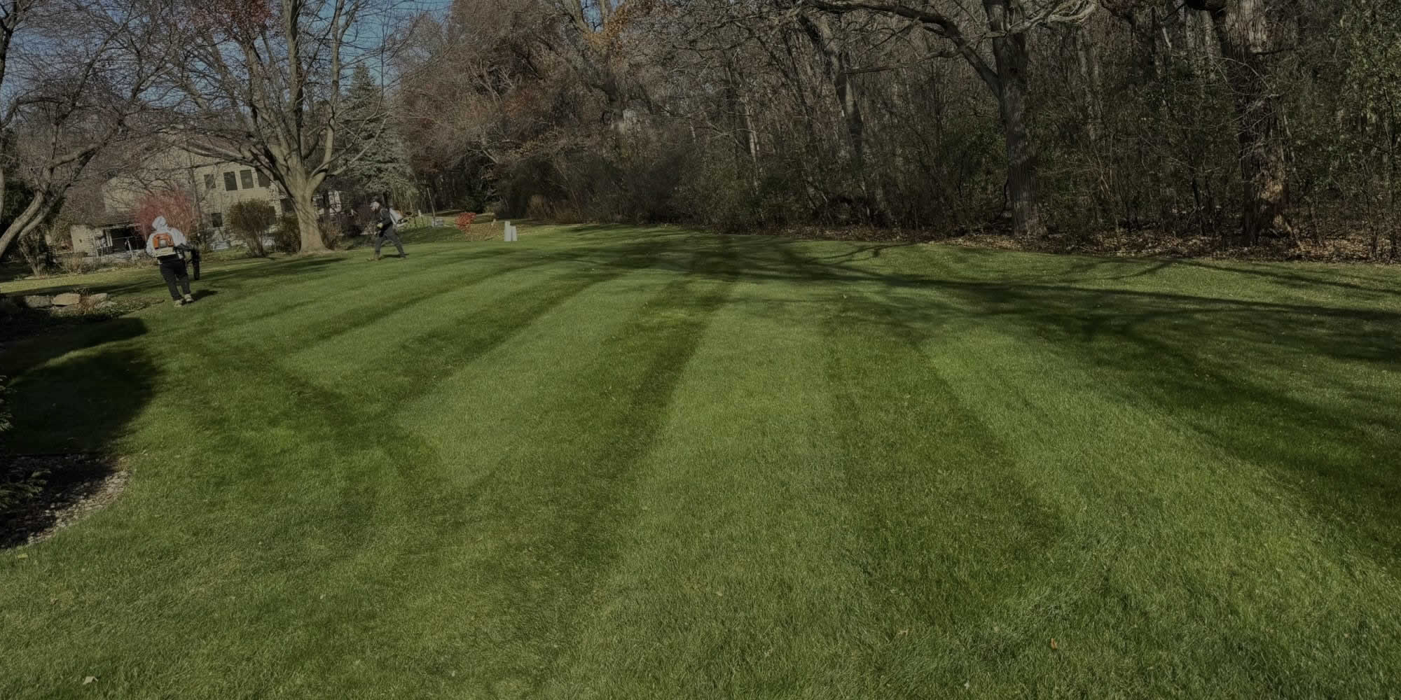 Madison WI Aeration and Overseeding Services