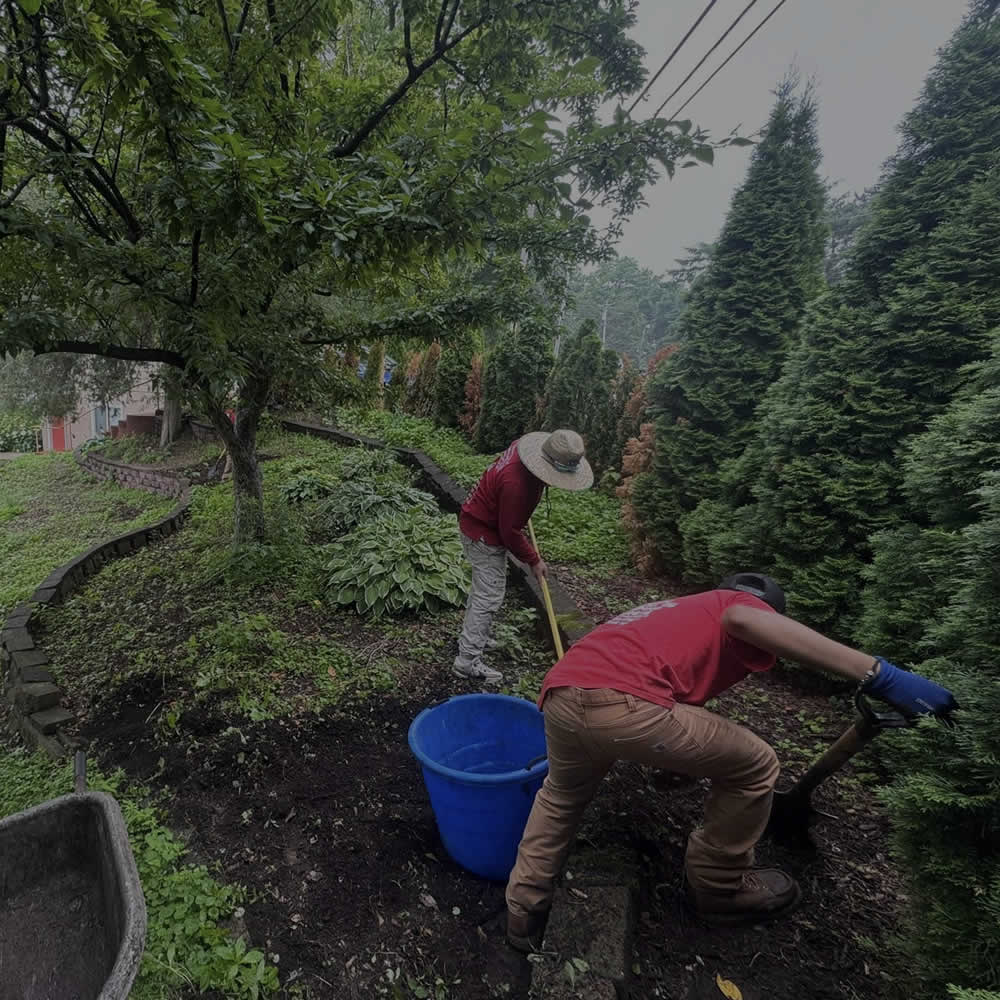 Madison WI Gardening Services WI