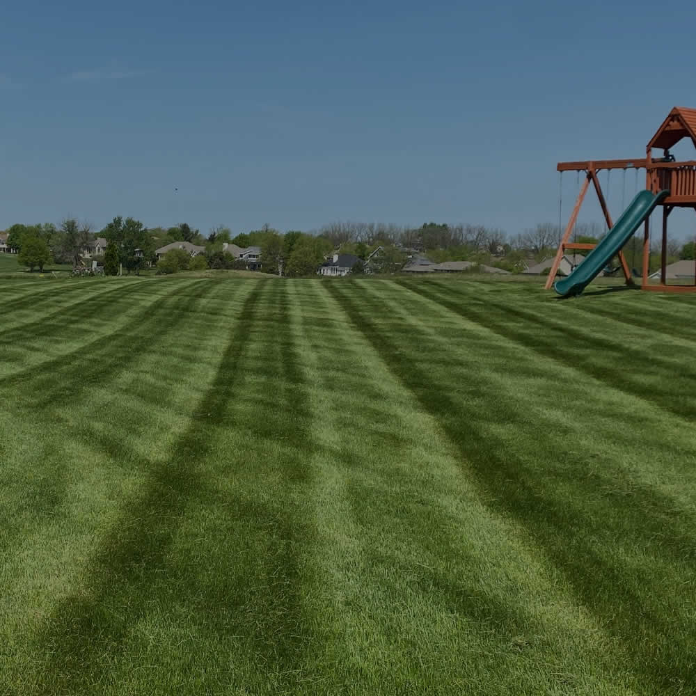 Madison WI Sod Installation and Seeding Services WI