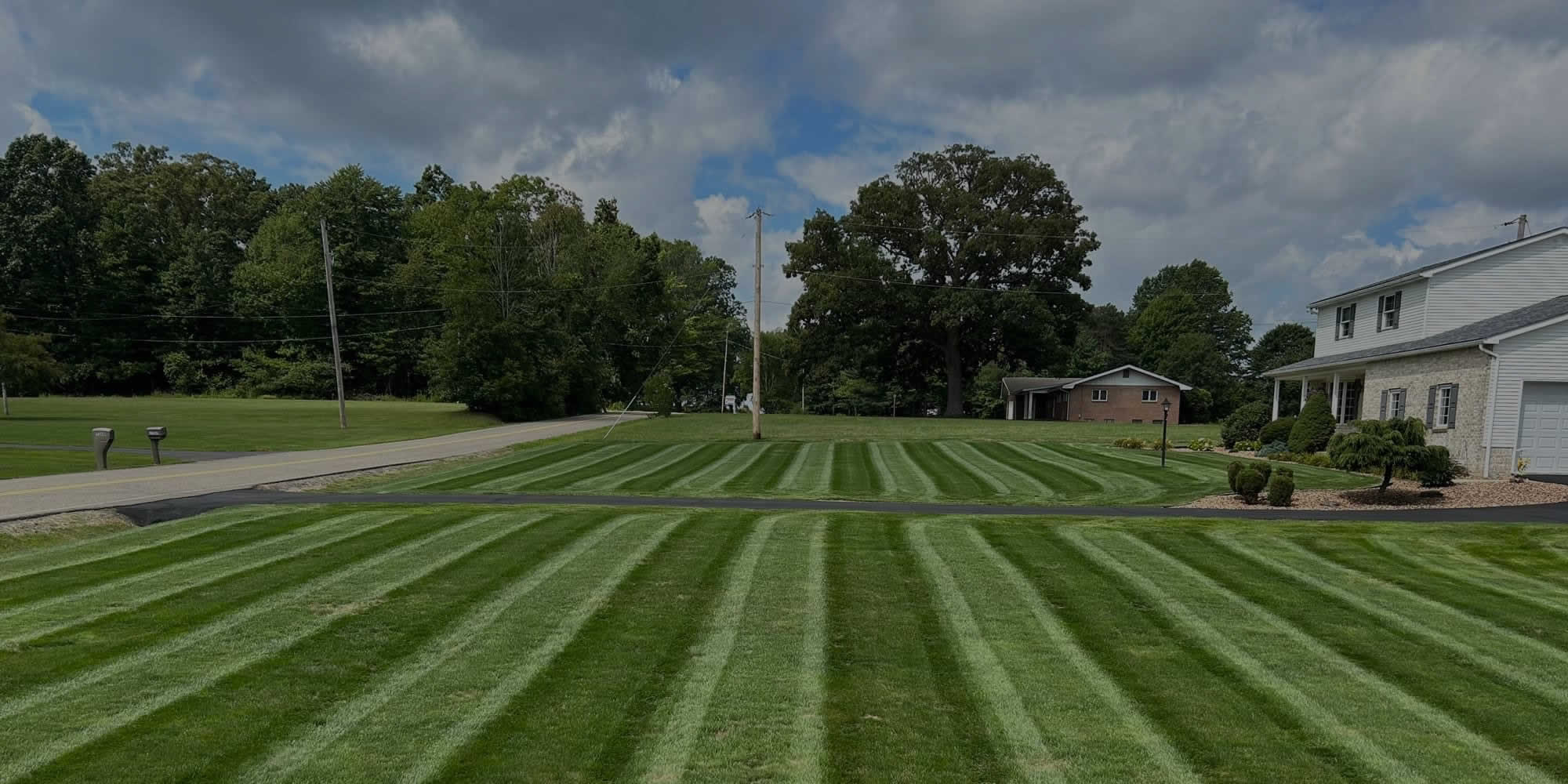 Madison WI Weed Control and Fertilization Services