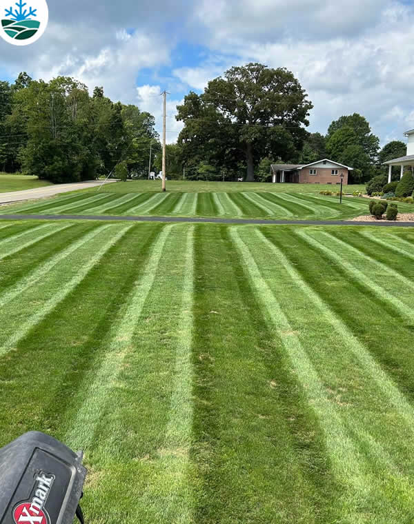 About Our Lawn Care Services in Madison WI