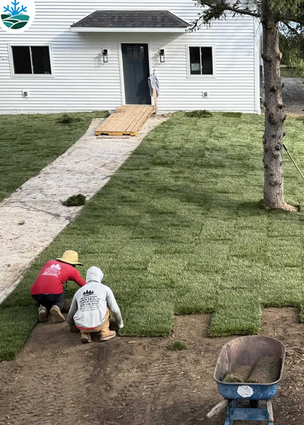 About Our Sod Installation and Seeding Services in Madison WI