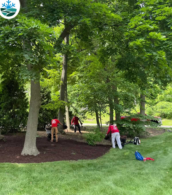 Reviews for Landscapers in Madison WI