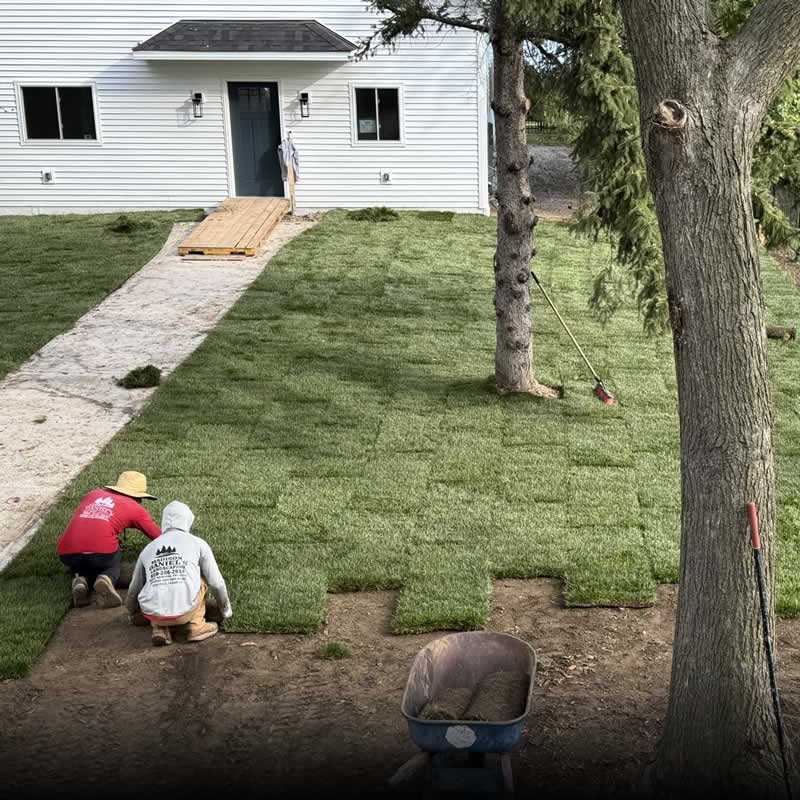 Sod Installation & Seeding Services in Madison WI